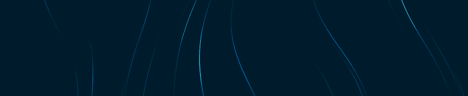 Incognito mode for your AI.